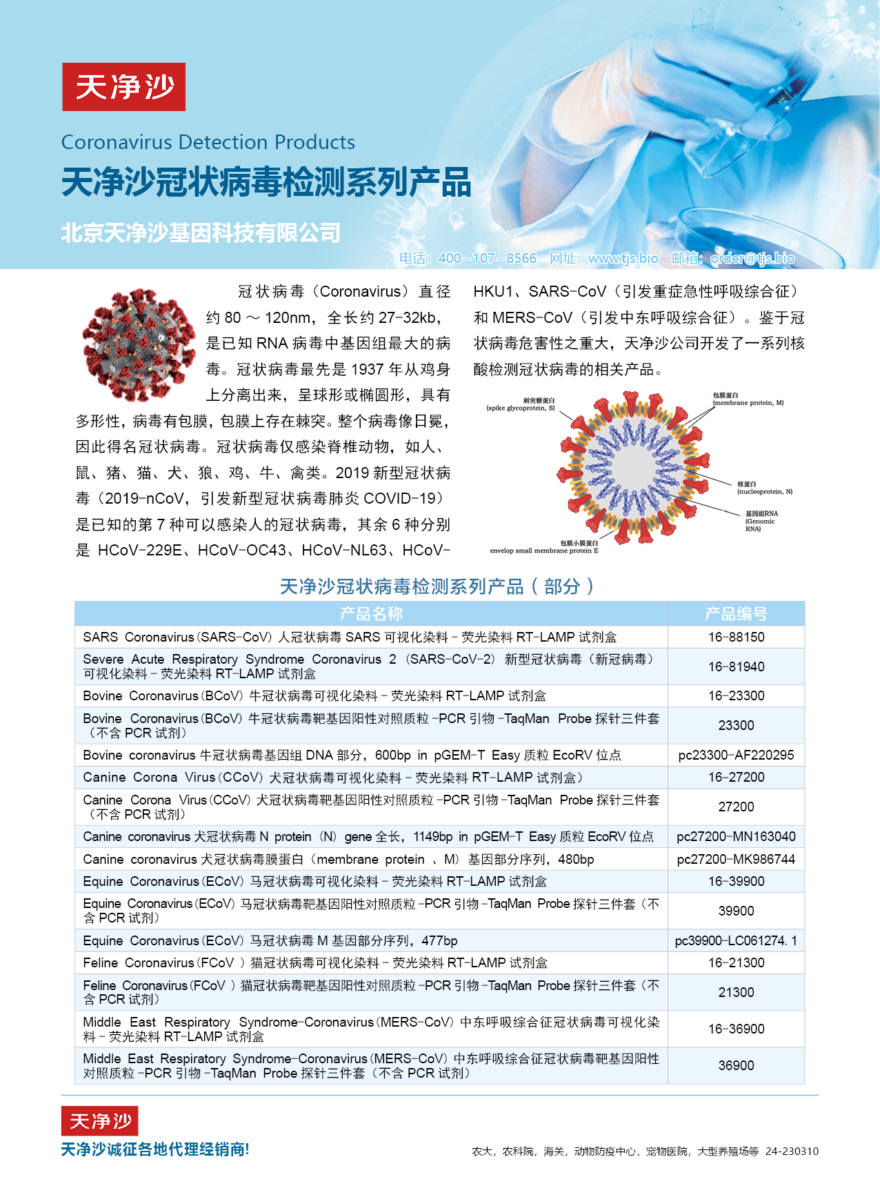 天净沙冠状病毒检测系列产品